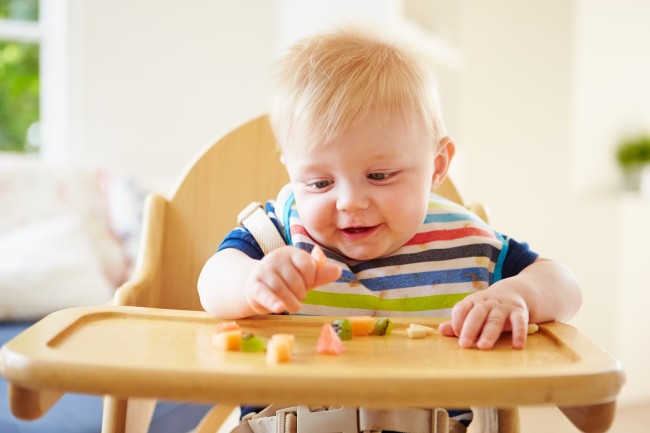 Toddler nutrition