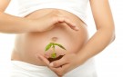 organic pregnancy diet