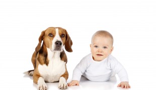 six reasons why your child should have a pet