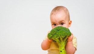toddler nutrition