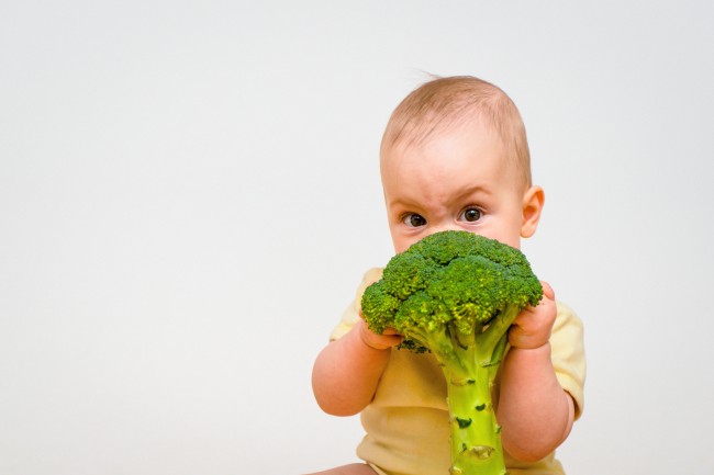 toddler nutrition