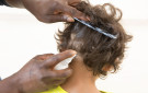 treatment of lice