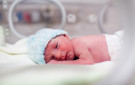 newborn immune system