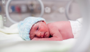 newborn immune system